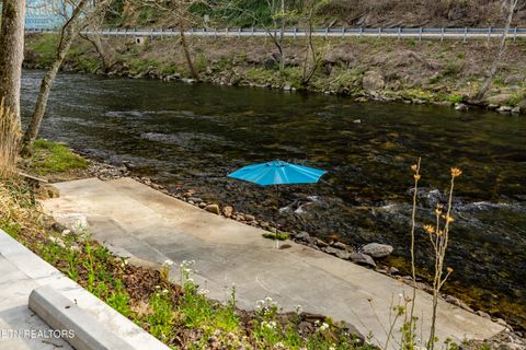 Tiny photo for 6851 Old Walland Hwy, Townsend, TN 37882 (MLS # 1335434)