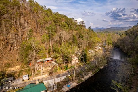 Tiny photo for 6851 Old Walland Hwy, Townsend, TN 37882 (MLS # 1335434)