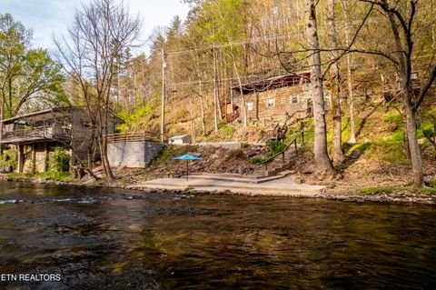 Tiny photo for 6851 Old Walland Hwy, Townsend, TN 37882 (MLS # 1335434)