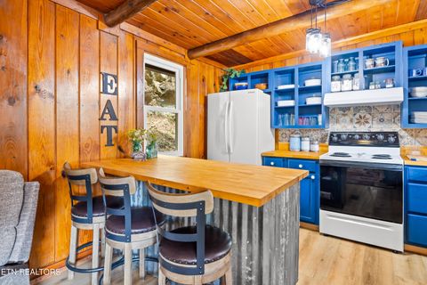 Tiny photo for 6851 Old Walland Hwy, Townsend, TN 37882 (MLS # 1335434)