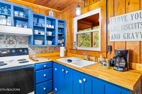 Tiny photo for 6851 Old Walland Hwy, Townsend, TN 37882 (MLS # 1335434)