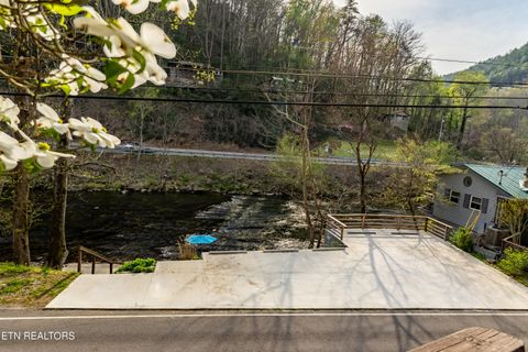 Tiny photo for 6851 Old Walland Hwy, Townsend, TN 37882 (MLS # 1335434)