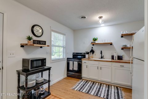 Tiny photo for 524 Reba Ln Ln, Gatlinburg, TN 37738 (MLS # 1324503)