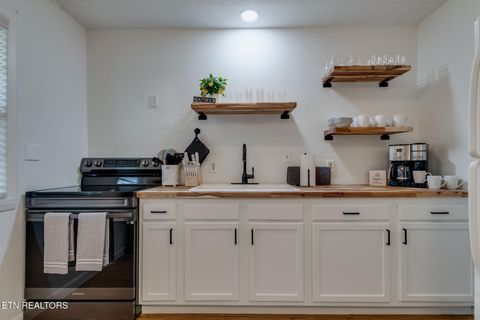 Tiny photo for 524 Reba Ln Ln, Gatlinburg, TN 37738 (MLS # 1324503)