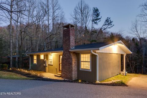 Photo of 524 Reba Ln Ln, Gatlinburg, TN 37738 (MLS # 1324503)
