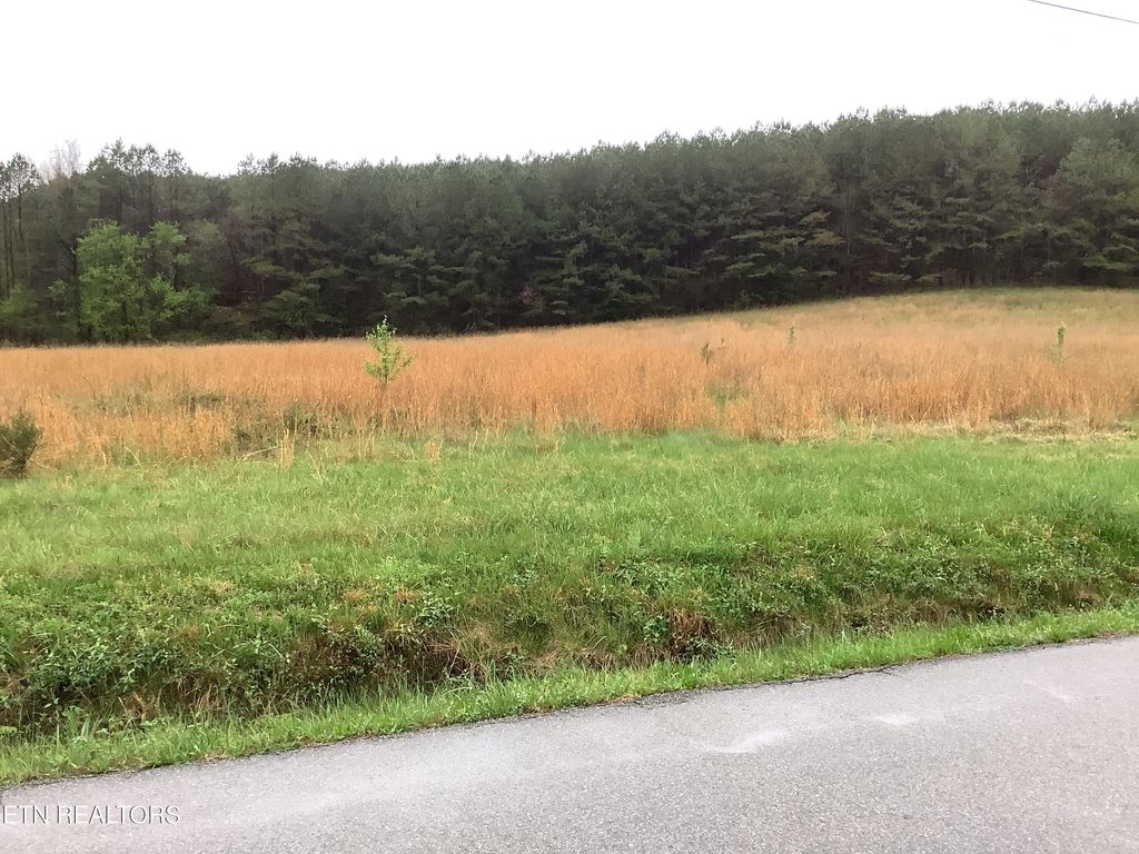 Photo of 113 Woods Hollow Rd, Decatur, TN 37322 (MLS # 1339337)