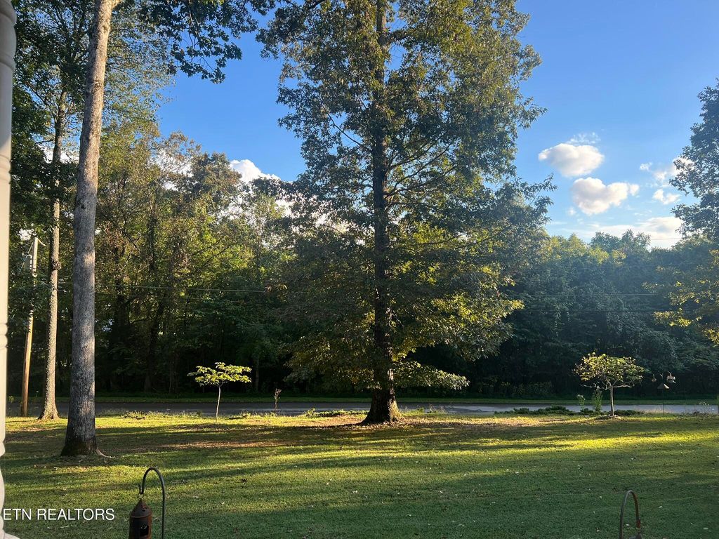 Photo of 155 Pinoak Drive, Rockwood, TN 37854 (MLS # 1316760)