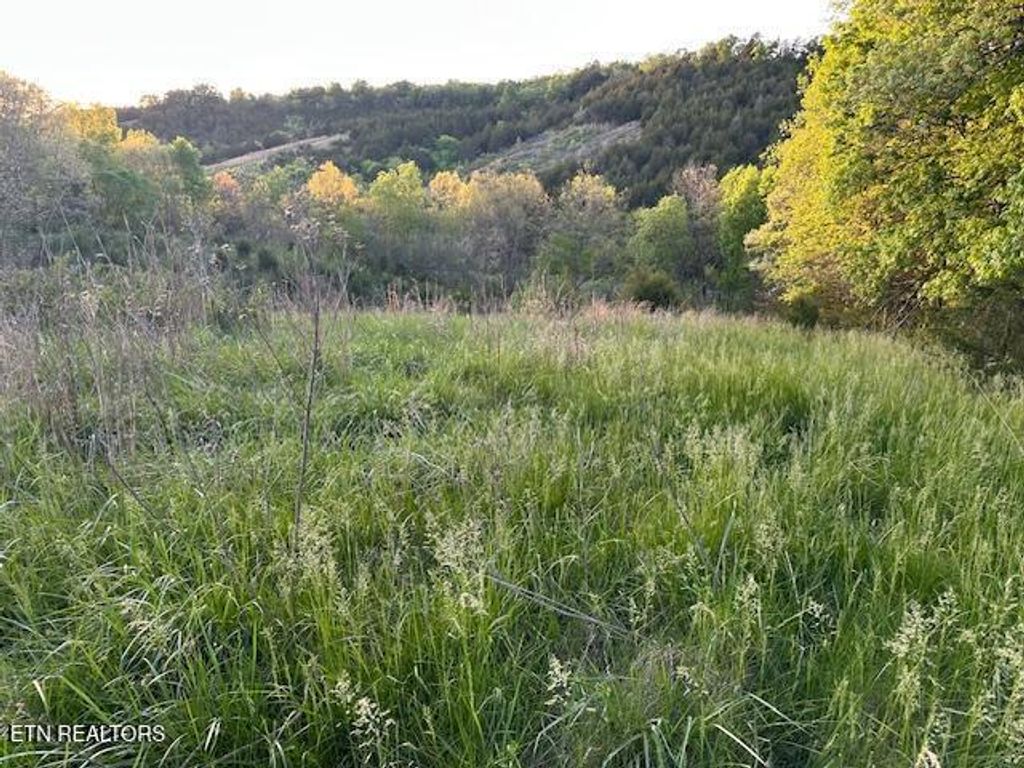 Photo of 425 Airport Rd Rd, Bybee, TN 37713 (MLS # 1339999)