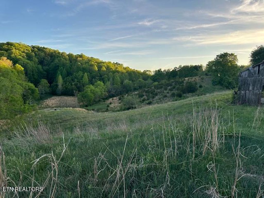 Photo of 425 Airport Rd Rd, Bybee, TN 37713 (MLS # 1339999)