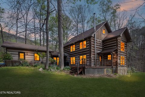 Photo of 314 McKinney Rd, Blaine, TN 37709 (MLS # 1335538)