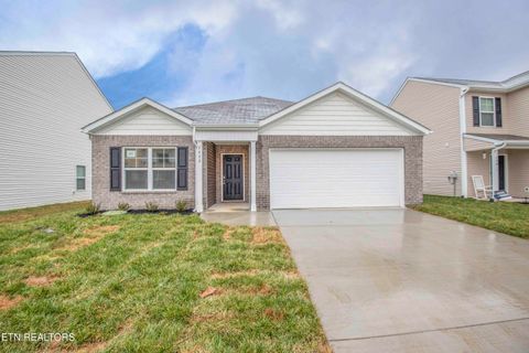 Photo of 7452 Game Bird St, Corryton, TN 37721 (MLS # 1317954)