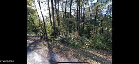 Photo of 218 Oostanali Way, Loudon, TN 37774 (MLS # 1340348)
