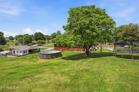 Tiny photo for 7295 Briarwood Drive, Talbott, TN 37877 (MLS # 1339385)