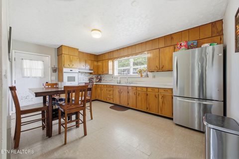 Tiny photo for 7295 Briarwood Drive, Talbott, TN 37877 (MLS # 1339385)