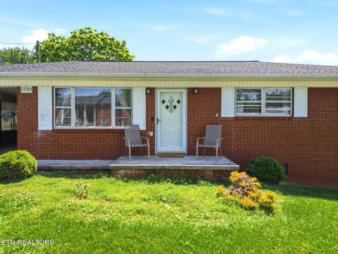 Tiny photo for 7295 Briarwood Drive, Talbott, TN 37877 (MLS # 1339385)