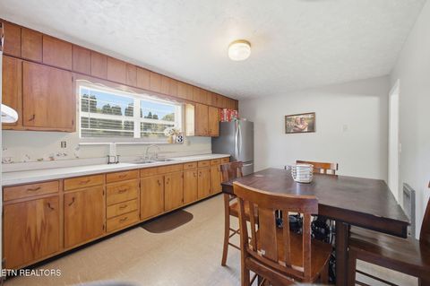 Tiny photo for 7295 Briarwood Drive, Talbott, TN 37877 (MLS # 1339385)
