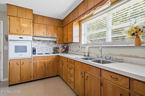 Tiny photo for 7295 Briarwood Drive, Talbott, TN 37877 (MLS # 1339385)