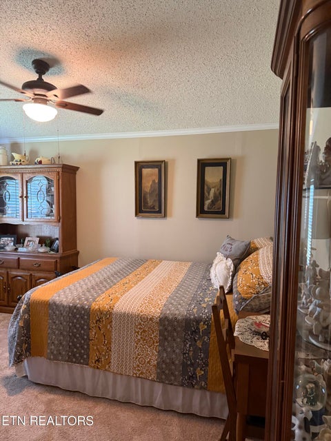 Tiny photo for 524 Old Rhea Springs Rd, Spring City, TN 37381 (MLS # 1355842)