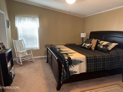 Tiny photo for 524 Old Rhea Springs Rd, Spring City, TN 37381 (MLS # 1355842)