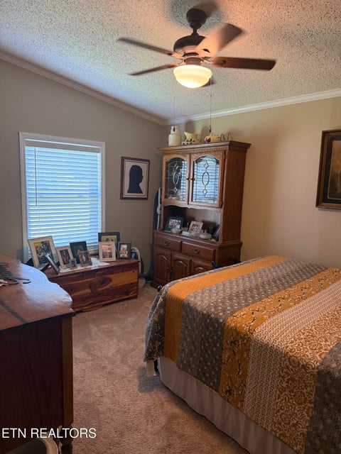 Tiny photo for 524 Old Rhea Springs Rd, Spring City, TN 37381 (MLS # 1355842)