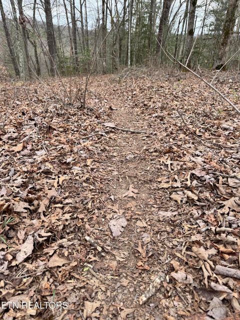 Tiny photo for 849 Camp Austin Rd, Oakdale, TN 37829 (MLS # 1334681)