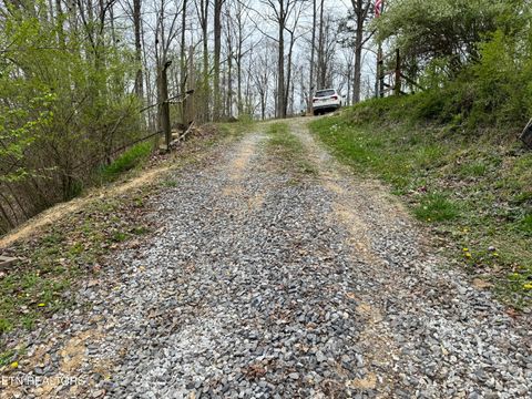 Tiny photo for 849 Camp Austin Rd, Oakdale, TN 37829 (MLS # 1334681)