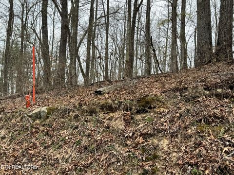 Tiny photo for 849 Camp Austin Rd, Oakdale, TN 37829 (MLS # 1334681)