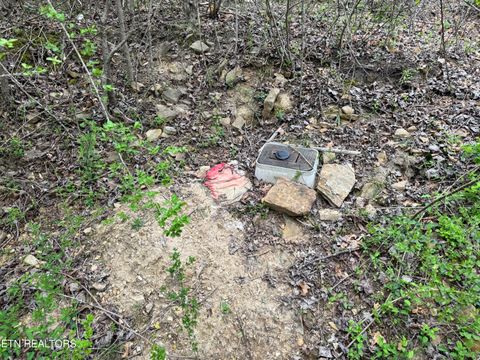 Tiny photo for 849 Camp Austin Rd, Oakdale, TN 37829 (MLS # 1334681)