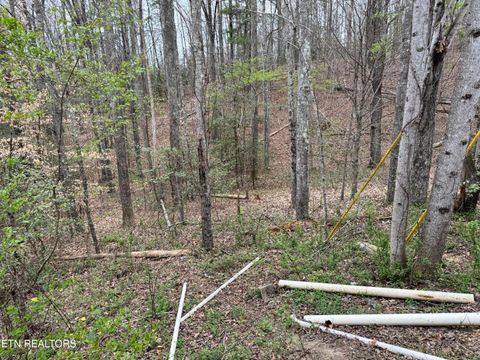 Tiny photo for 849 Camp Austin Rd, Oakdale, TN 37829 (MLS # 1334681)