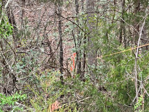 Tiny photo for 849 Camp Austin Rd, Oakdale, TN 37829 (MLS # 1334681)