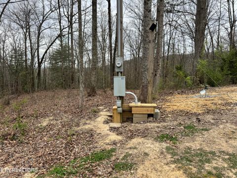 Tiny photo for 849 Camp Austin Rd, Oakdale, TN 37829 (MLS # 1334681)