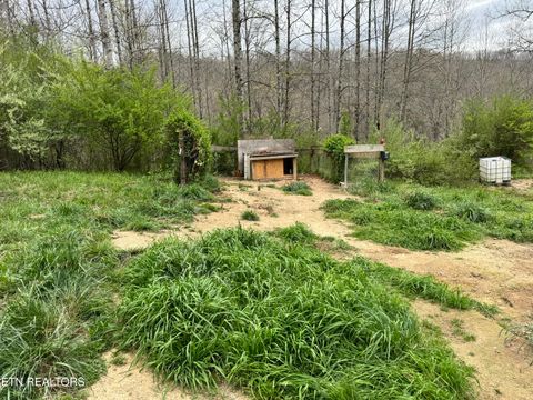 Tiny photo for 849 Camp Austin Rd, Oakdale, TN 37829 (MLS # 1334681)