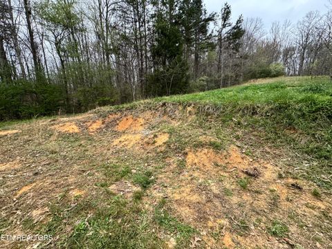 Tiny photo for 849 Camp Austin Rd, Oakdale, TN 37829 (MLS # 1334681)