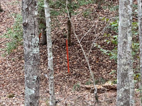 Tiny photo for 849 Camp Austin Rd, Oakdale, TN 37829 (MLS # 1334681)