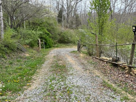 Tiny photo for 849 Camp Austin Rd, Oakdale, TN 37829 (MLS # 1334681)