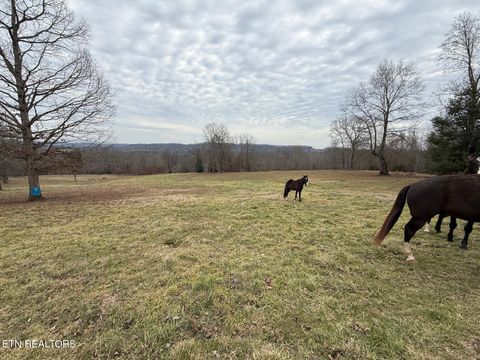 Tiny photo for 3650 River Rd, Decatur, TN 37322 (MLS # 1328666)