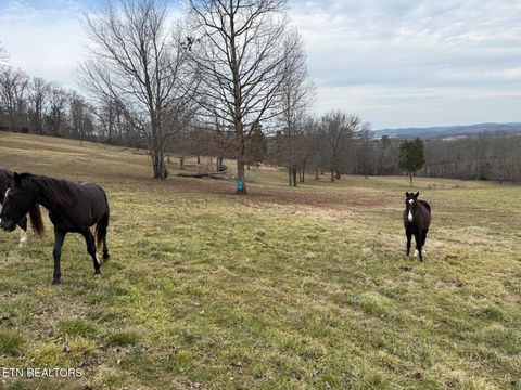 Tiny photo for 3650 River Rd, Decatur, TN 37322 (MLS # 1328666)