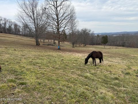 Tiny photo for 3650 River Rd, Decatur, TN 37322 (MLS # 1328666)