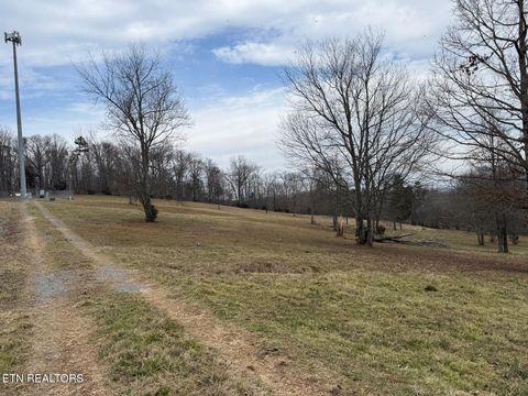 Tiny photo for 3650 River Rd, Decatur, TN 37322 (MLS # 1328666)