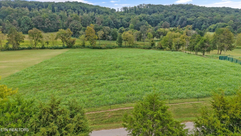 Photo of 1361 Paint Rock Valley Rd, Philadelphia, TN 37846 (MLS # 1357227)