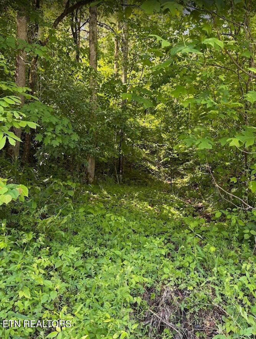 Photo of 0 Spring Creek Rd, Cookeville, TN 38501 (MLS # 1340038)