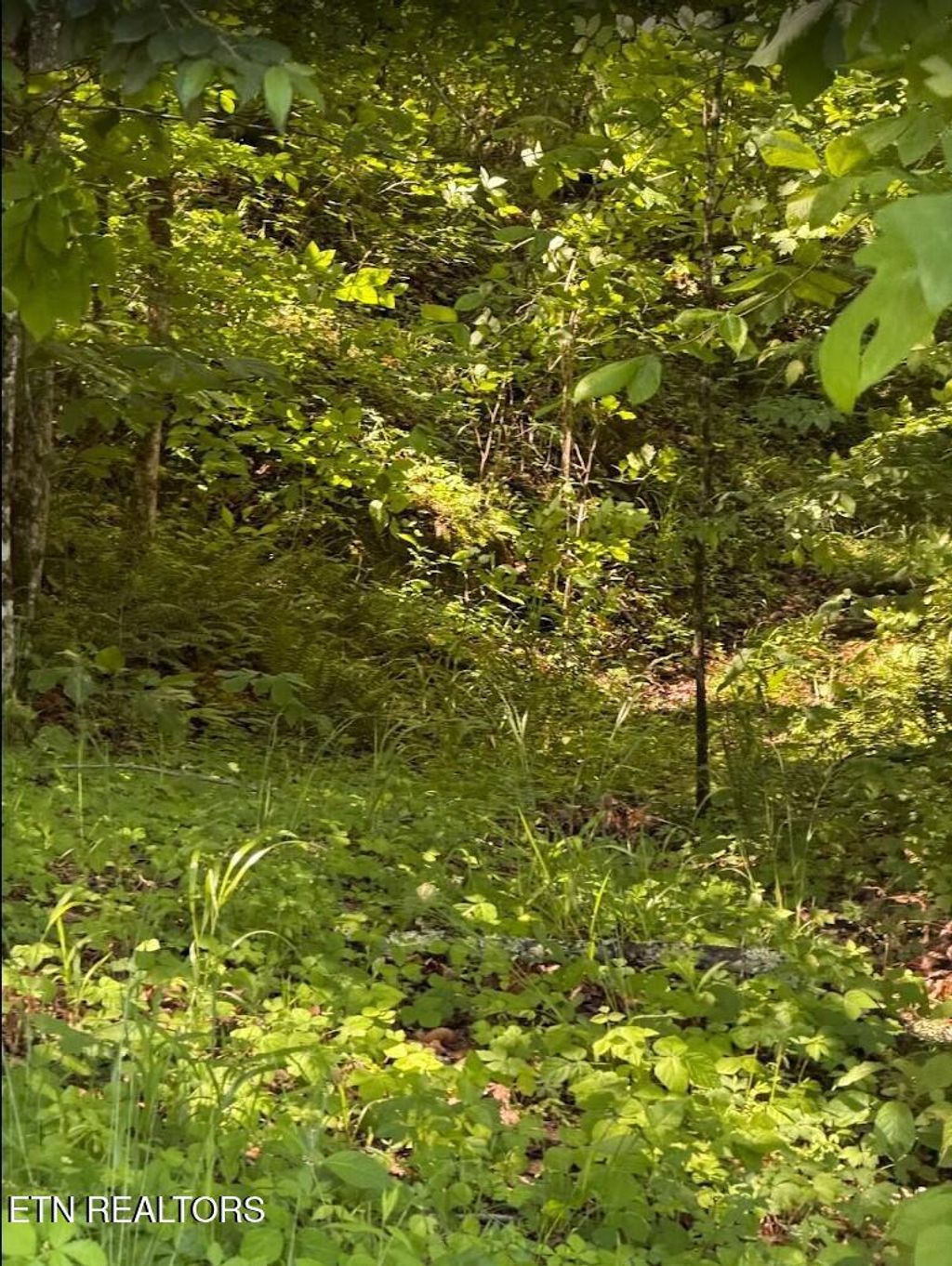 Photo of 0 Spring Creek Rd, Cookeville, TN 38501 (MLS # 1340038)