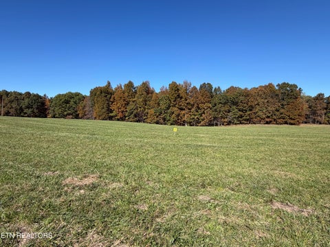 Tiny photo for Poke Patch Rd, Crossville, TN 38572 (MLS # 1359965)