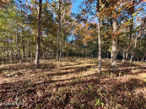 Tiny photo for Poke Patch Rd, Crossville, TN 38572 (MLS # 1359965)