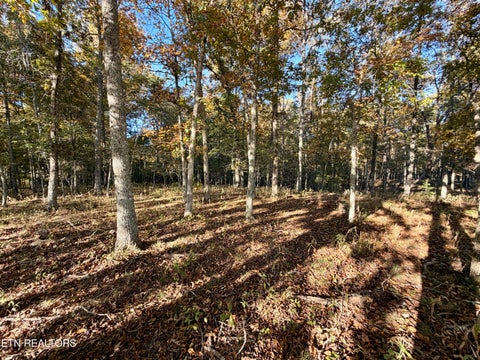 Tiny photo for Poke Patch Rd, Crossville, TN 38572 (MLS # 1359965)