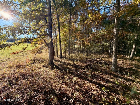 Tiny photo for Poke Patch Rd, Crossville, TN 38572 (MLS # 1359965)