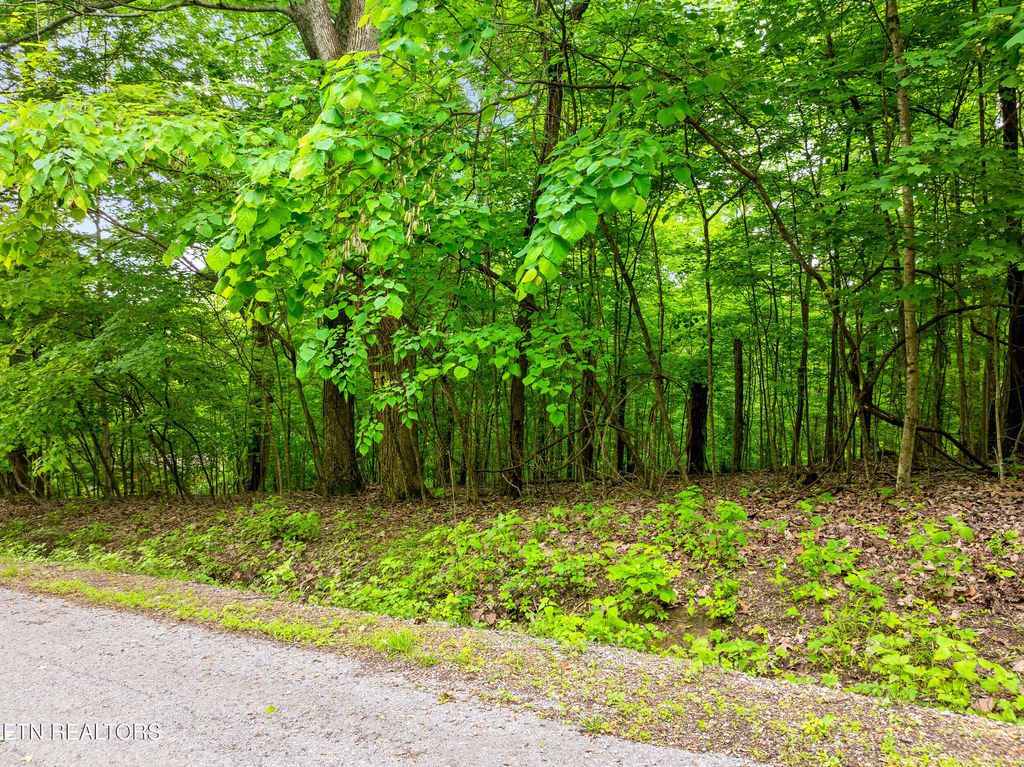 Photo of Running Deer Tr, Caryville, TN 37714 (MLS # 1322139)