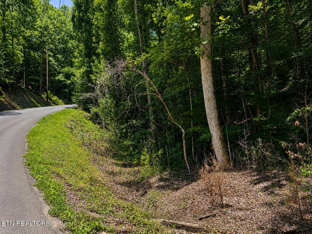 Photo of 0 Fiesta Blvd, Sevierville, TN 37876 (MLS # 1345305)