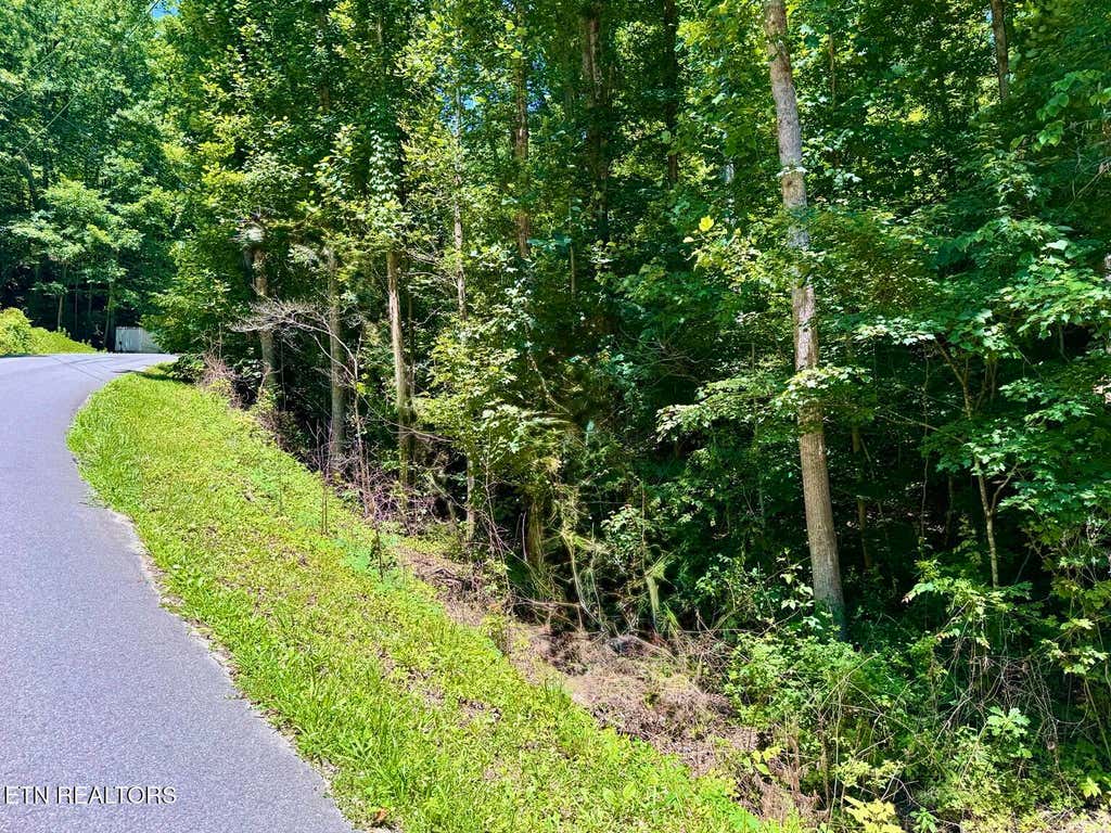 Photo of 0 Fiesta Blvd, Sevierville, TN 37876 (MLS # 1345305)