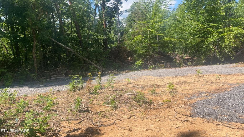 Photo of Dunville Gap Rd, Rutledge, TN 37861 (MLS # 1294823)